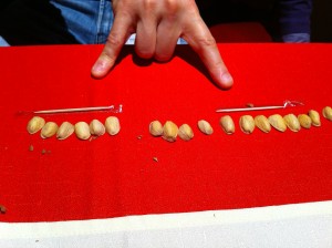 Explaining Barman's WAL archive with pistachio shells and toothpicks