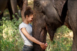 Loving the Elephant
